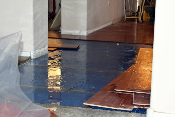 Professional Basement Flood Cleanup technician working in Fishers Island, NY